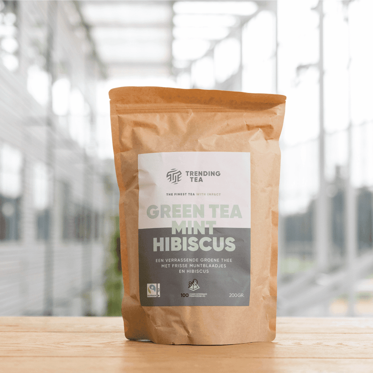Piramidezakjes: Green Tea Mint Hibiscus (100 stuks) - Fancy Beans