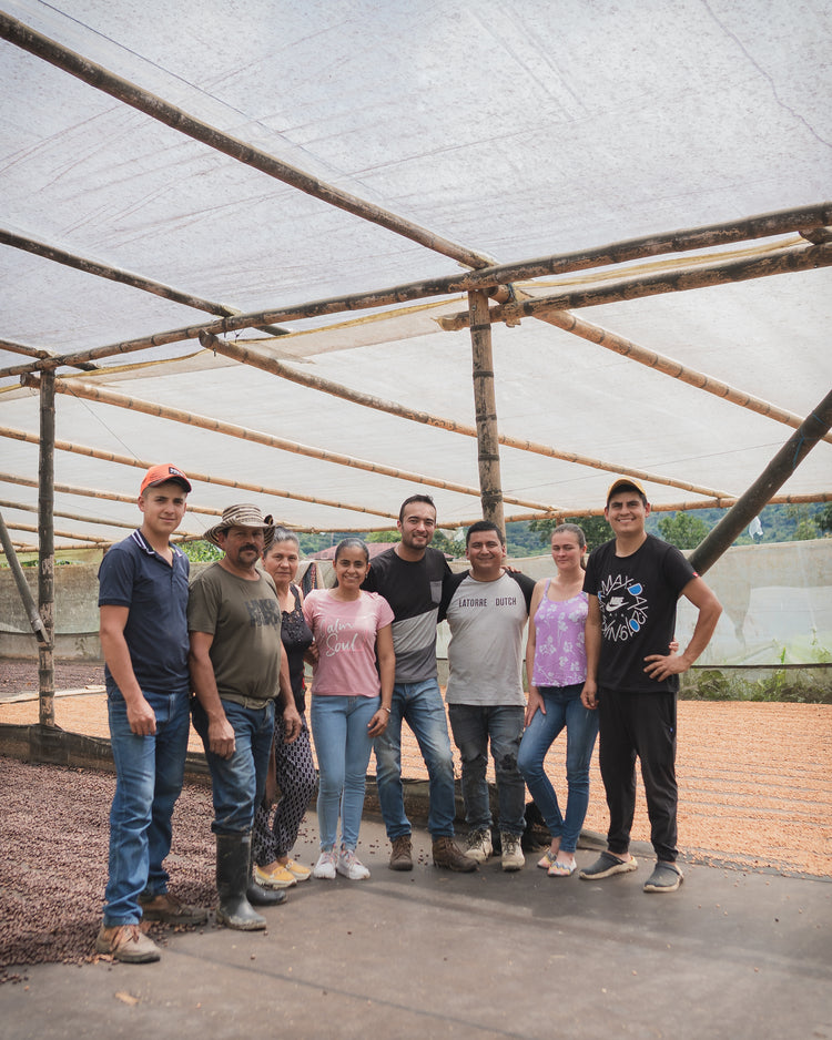 Exclusive Selection - Orange Bourbon - Fancy Beans