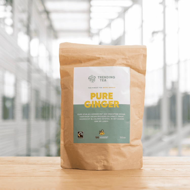 Piramidezakjes: Pure Ginger (100 stuks) - Fancy Beans