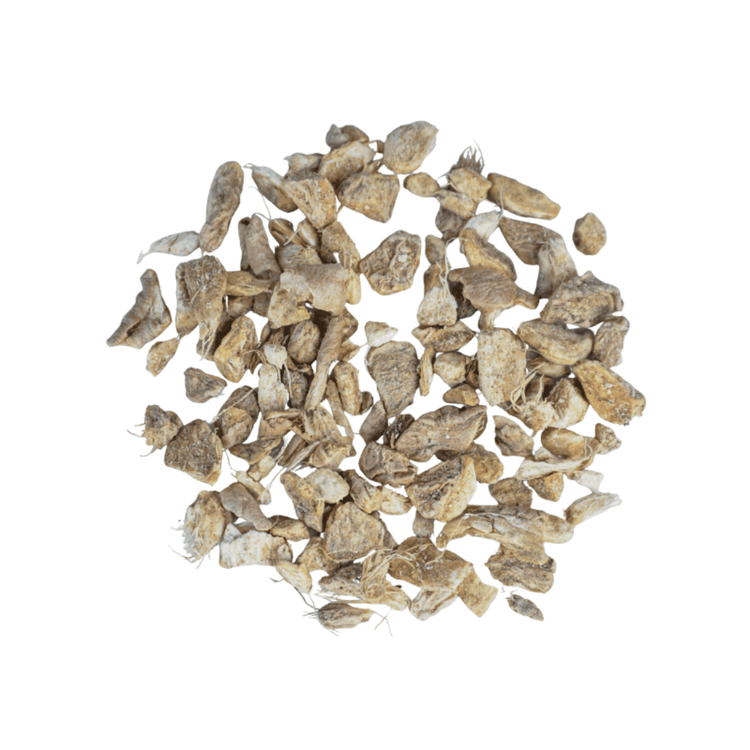 Piramidezakjes: Pure Ginger (100 stuks) - Fancy Beans