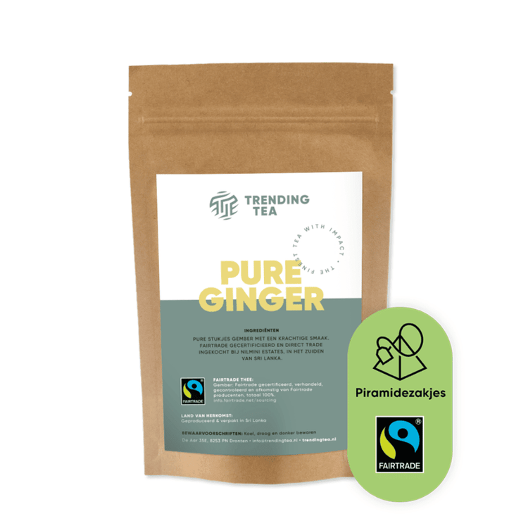 Piramidezakjes: Pure Ginger (100 stuks) - Fancy Beans