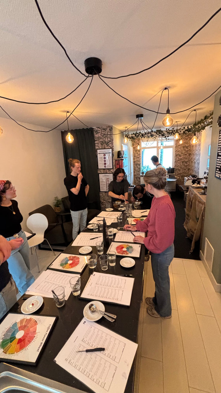 Workshop: Smaken herkennen in koffie 29-06-2025 - Fancy Beans