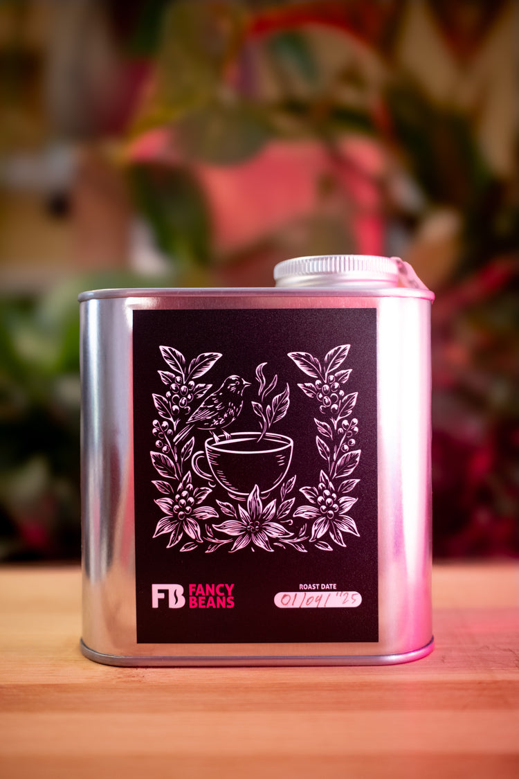 Exclusive Selection - Blueberry Dream - Fancy Beans