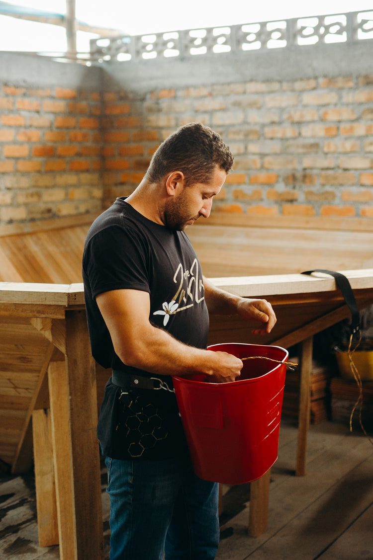 Exclusive Selection - Blueberry Dream - Fancy Beans