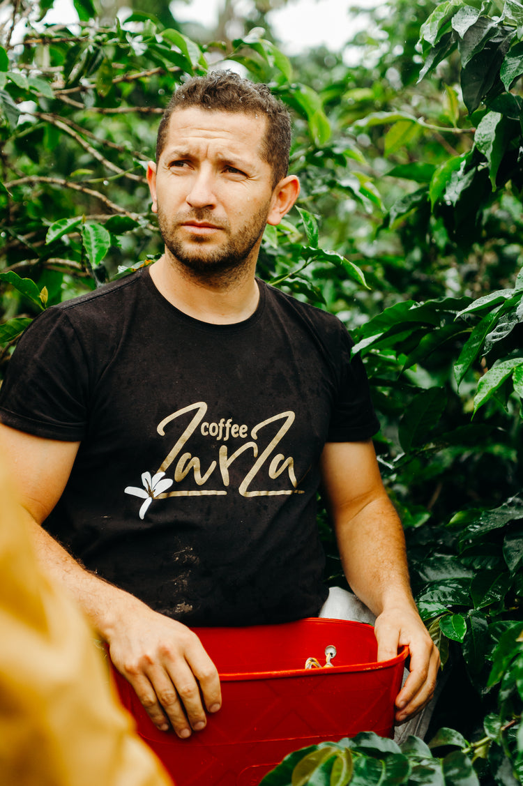 Exclusive Selection - Blueberry Dream - Fancy Beans