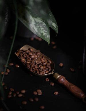 Vers gebrande Specialty Coffee