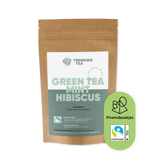 Piramidezakjes: Green Tea Mint Hibiscus (100 stuks) - Fancy Beans