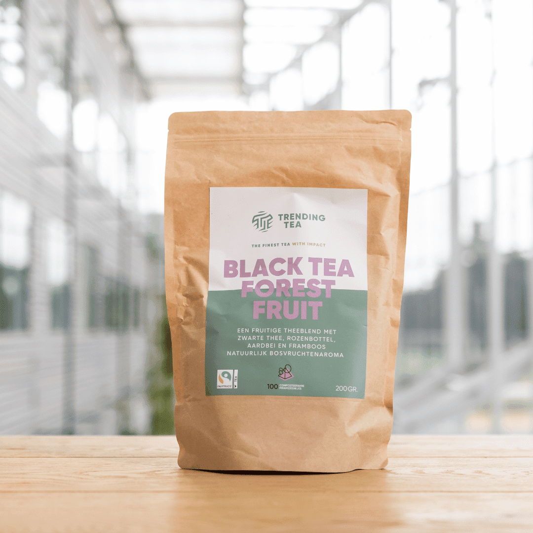 Piramidezakjes: Black Tea Forest Fruit (100 stuks) - Fancy Beans