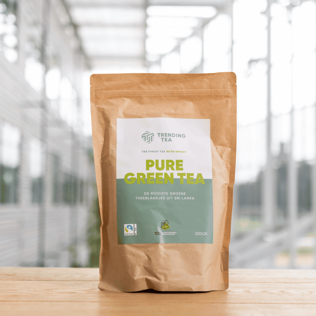 Piramidezakjes: Pure Green Tea (100 stuks) - Fancy Beans