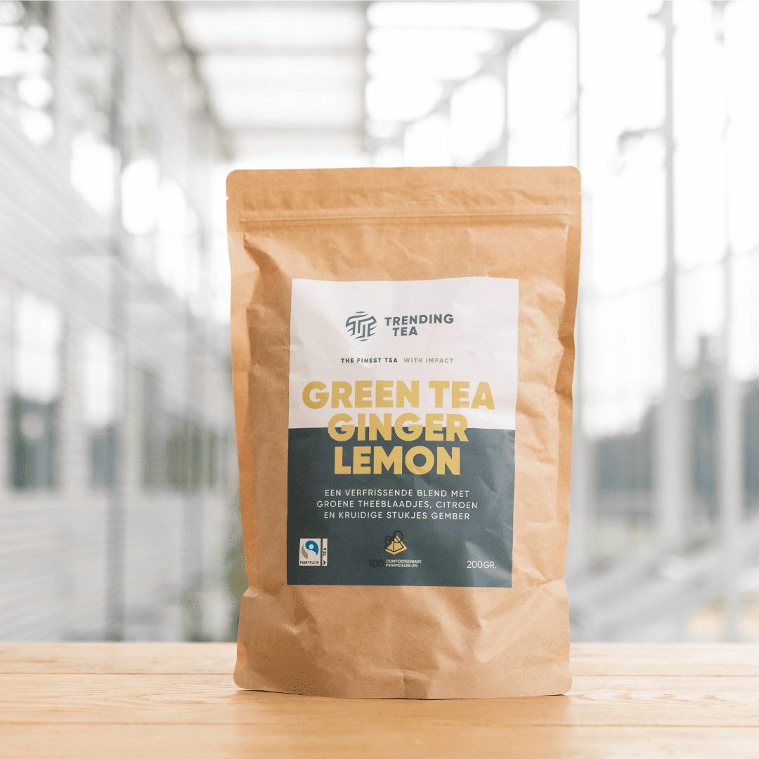 Piramidezakjes: Green Tea Ginger Lemon (100 stuks) - Fancy Beans