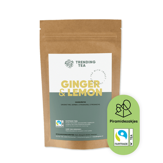 Piramidezakjes: Green Tea Ginger Lemon (100 stuks) - Fancy Beans