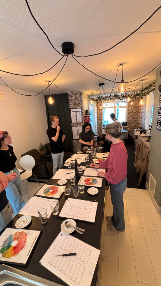 Workshop: Smaken herkennen in koffie 03-08-2025 - Fancy Beans