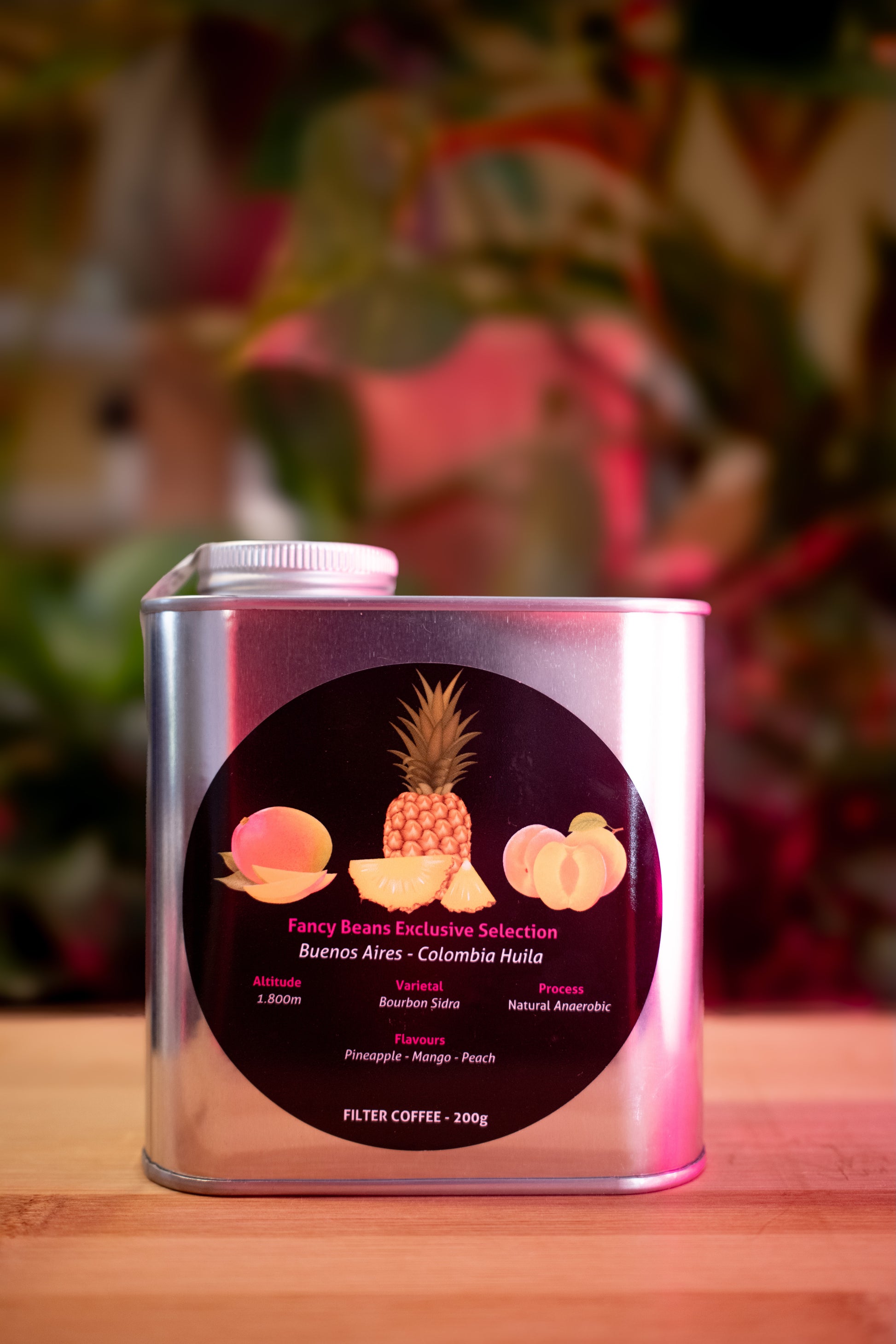 Exclusive Selection - Bourbon Sidra - Fancy Beans