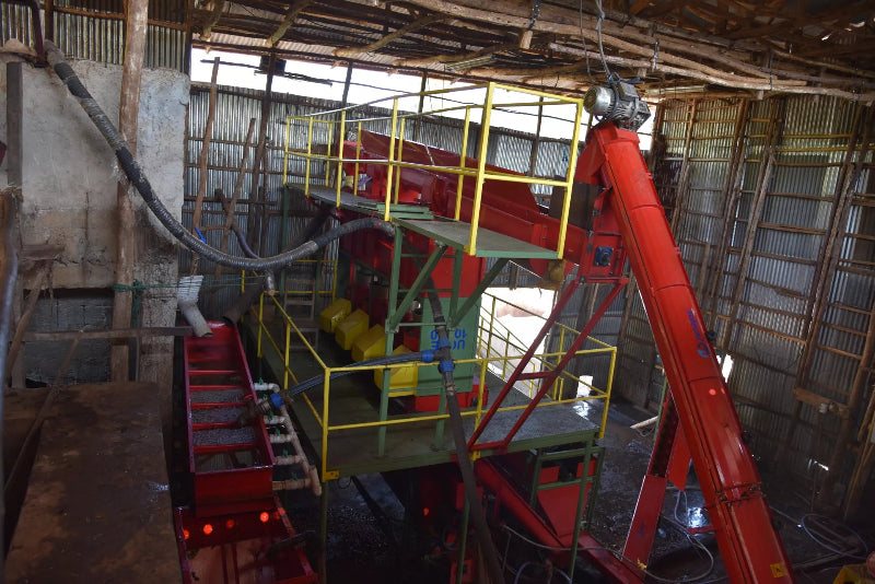 Tropical Safari - Fancy Beans