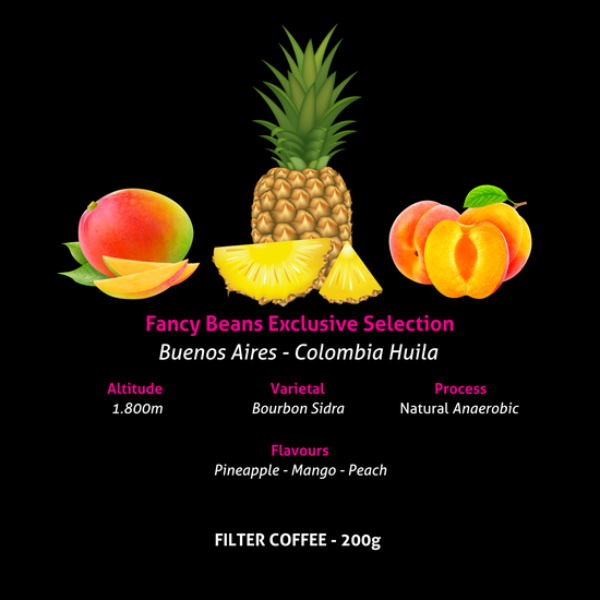 Exclusive Selection - Bourbon Sidra - Fancy Beans