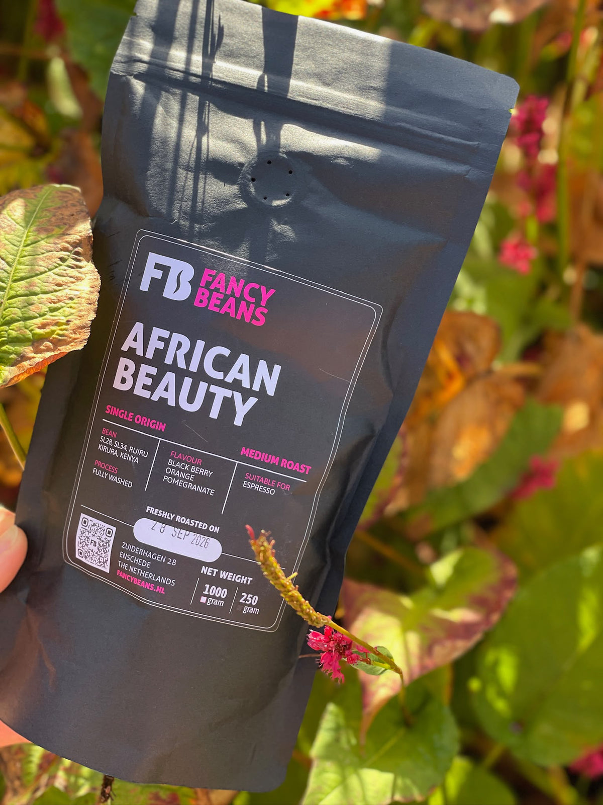 African Beauty - Fancy Beans