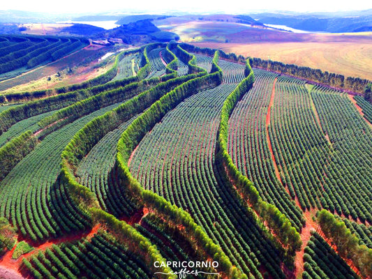 Capricornio Brasil Finca