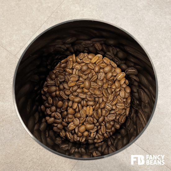 Fancy Beans Tightvac 900gram - Fancy Beans